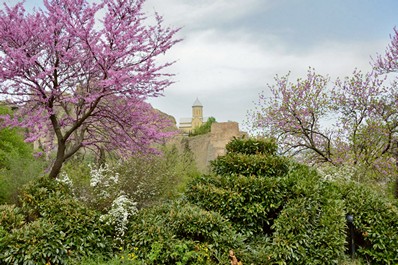 Naturaleza de Georgia