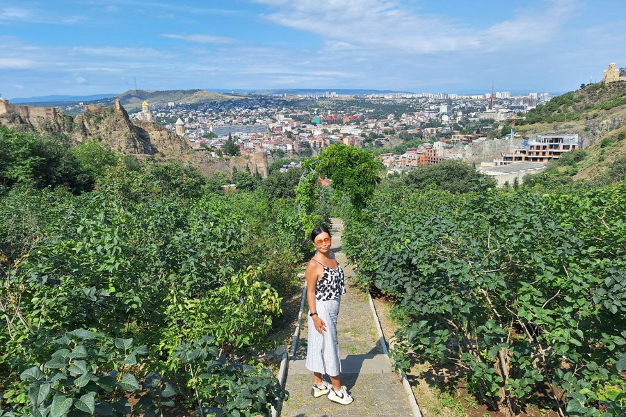 Panoramic View of Tbilisi