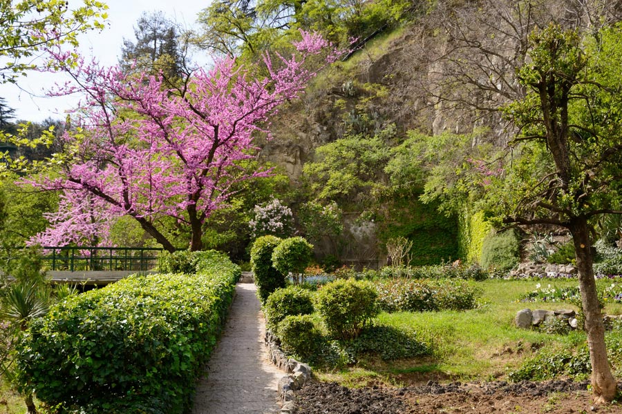 Tbilisi Botanical Garden