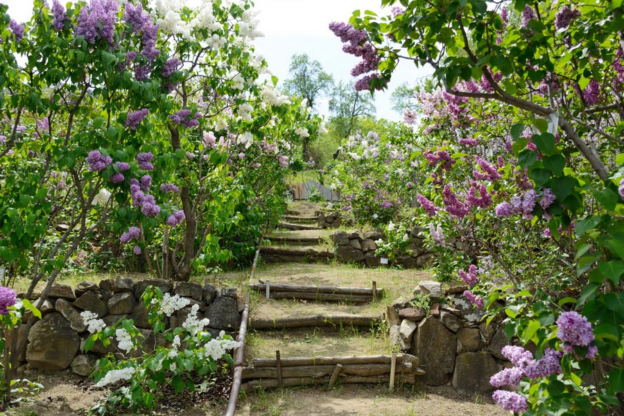 Tbilisi Botanical Garden