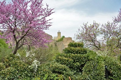 Jardín Botánico de Tiflis