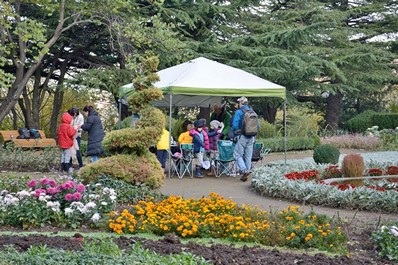 Tbilisi Botanical Garden