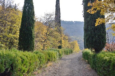 Jardín Botánico de Tiflis