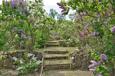 Jardín Botánico de Tiflis