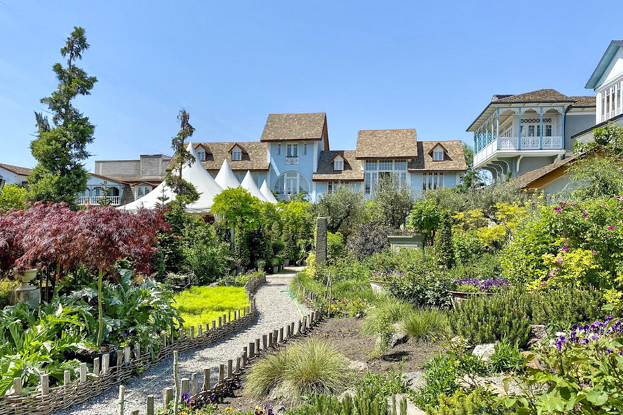 Gardenia Shevardnadze, Tiflis
