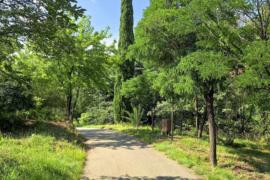 Botanical Garden, Tbilisi
