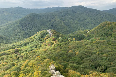 Martkopi Monastery