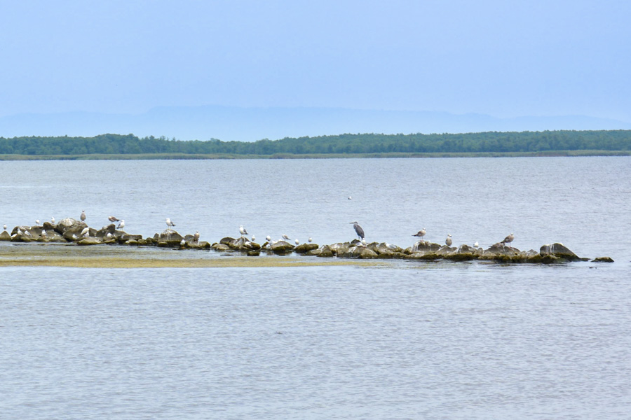 Lake Paliastomi, Georgia
