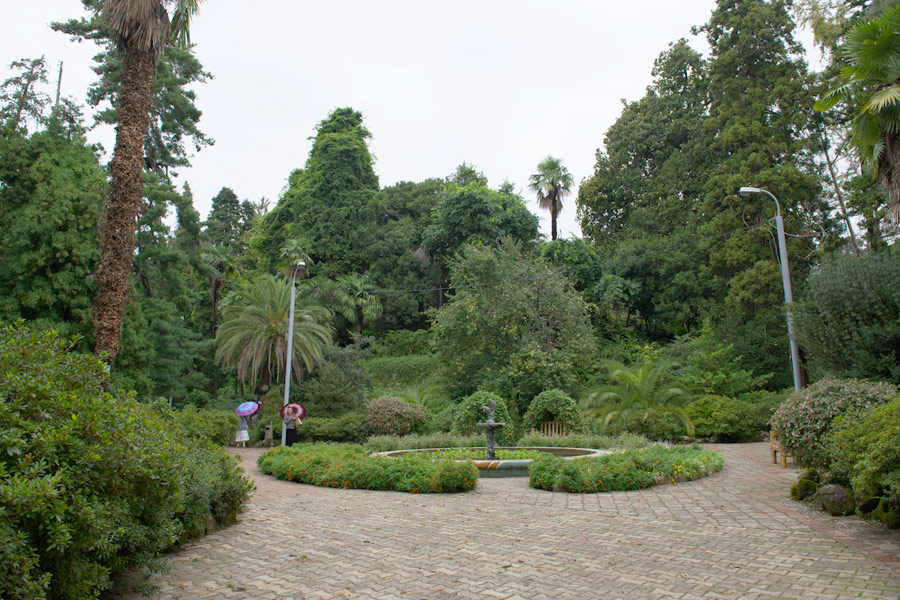 Batumi Botanical Garden