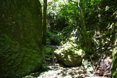 Birtvisi Canyon