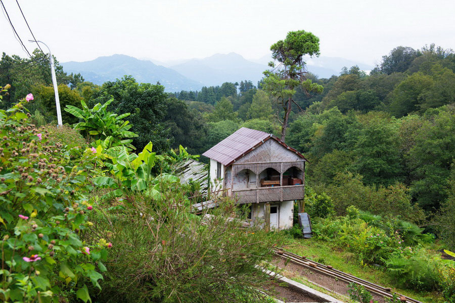 Botanical Garden of Batumi