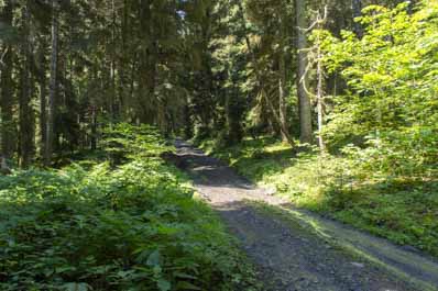 Borjomi-Kharagauli National Park