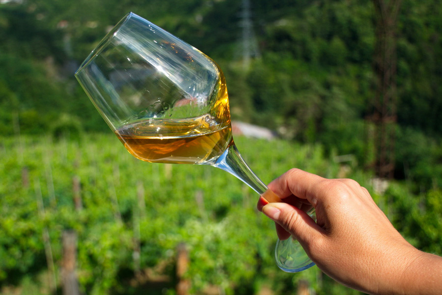 Georgia Wine Tours