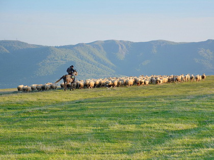 Tour Joyas Ocultas de Georgia