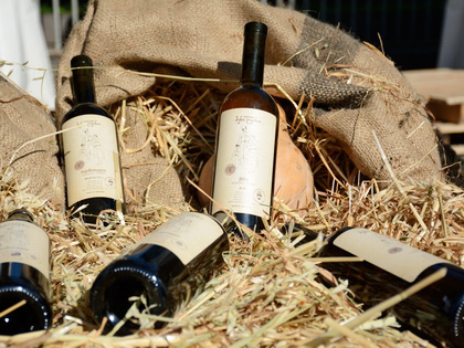 Kakheti Wine Group Tour