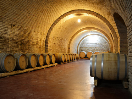 Kartli Wine Tour from Tbilisi