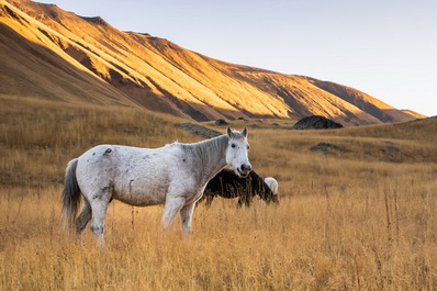 Valle Juta