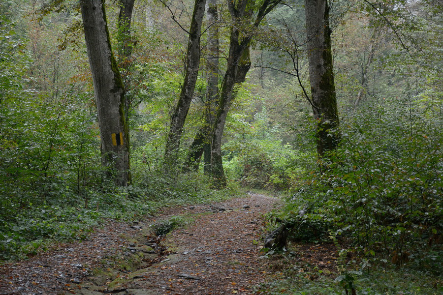 Parque Lagodekhi