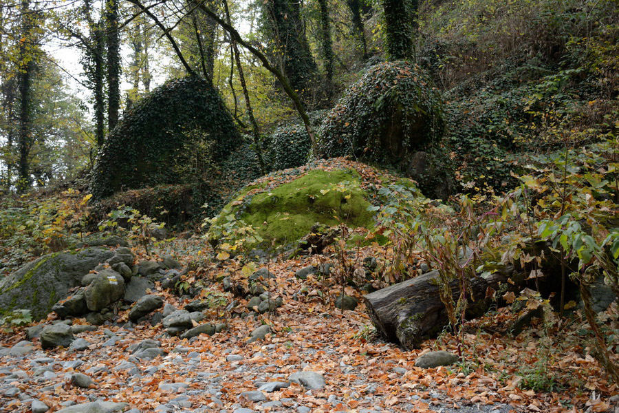 Parque Lagodekhi