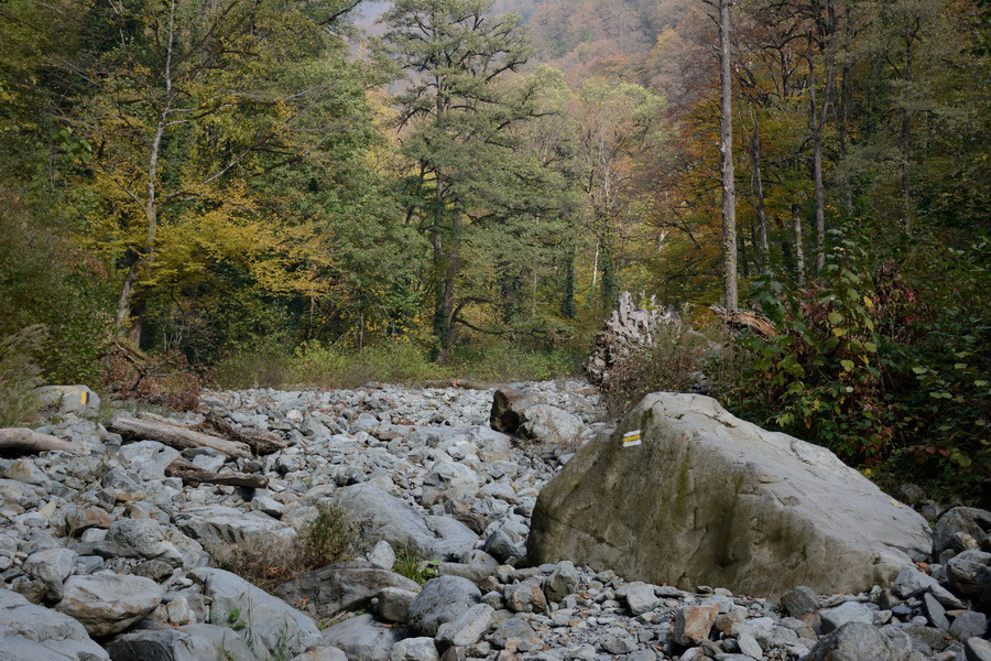 Parque Lagodekhi