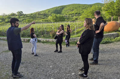 Winery