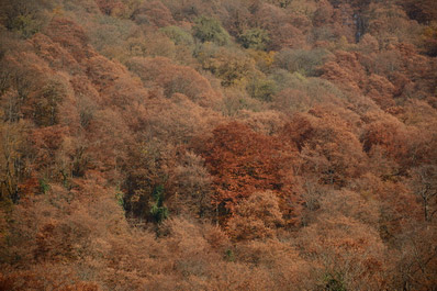 Parque Lagodekhi