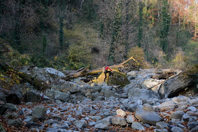 Parque Lagodekhi