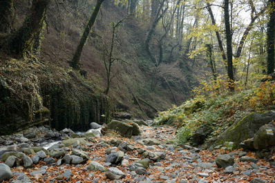 Parque Lagodekhi