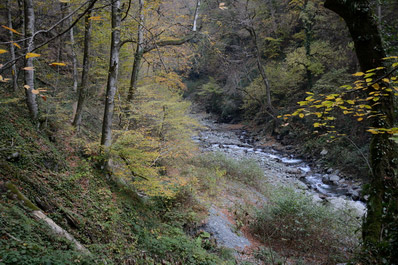 Parque Lagodekhi