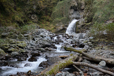 Parque Lagodekhi