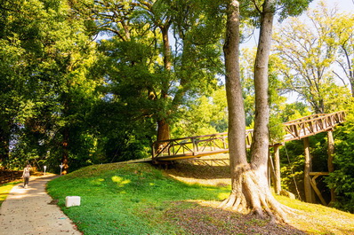 Shekvetili Dendrological Park