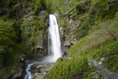 Lagodekhi