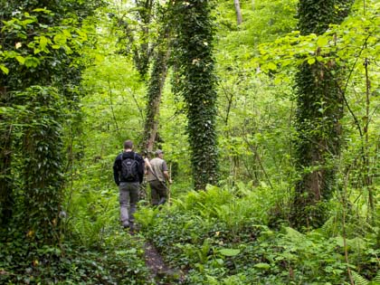 2-day Tour to Pankisi