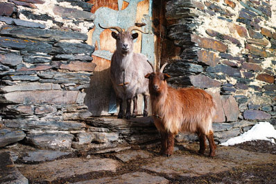 Ushguli