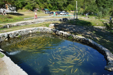 Kulbaki Green Lake