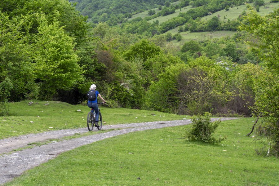 Valle de Pankisi