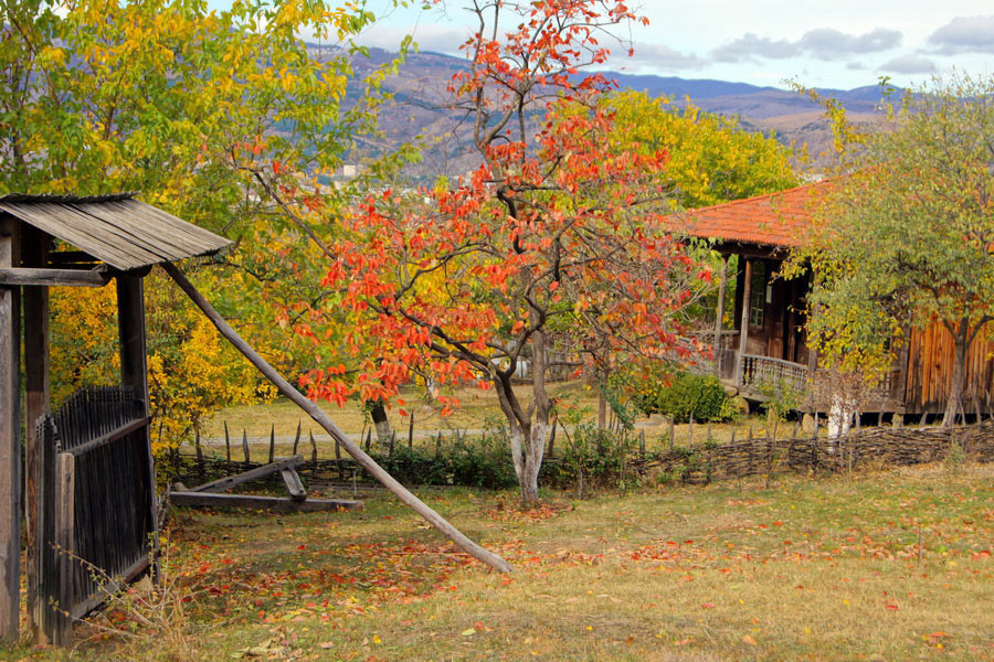 Ethnography Museum