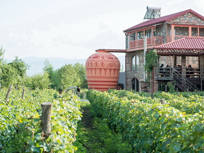 Village Gastronomy and Culture Tour in Georgia