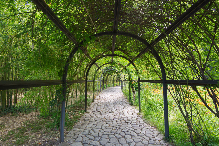Tsinandali Park