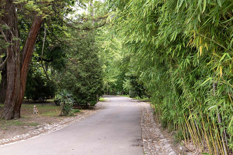 Parque Tsinandali