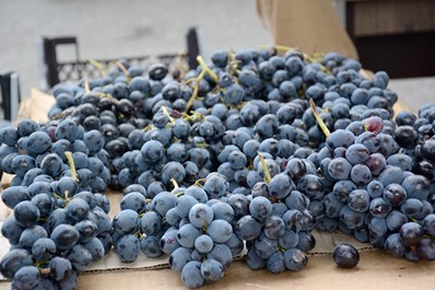 Traditional young wine festival in Georgia