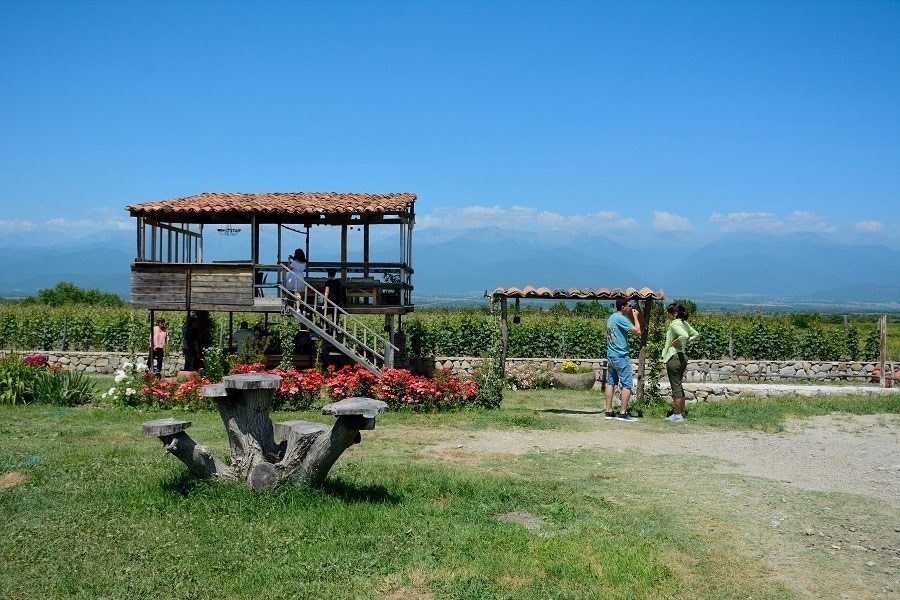 Винодельня «Руиспири», Грузия