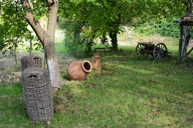 Shumi Winery, Georgia