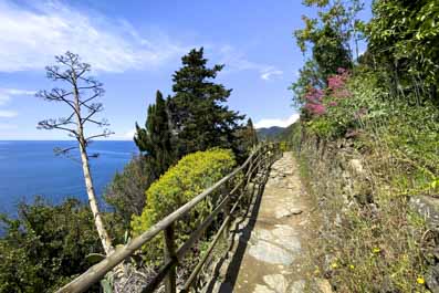 Cinque Terre Trails, Italy