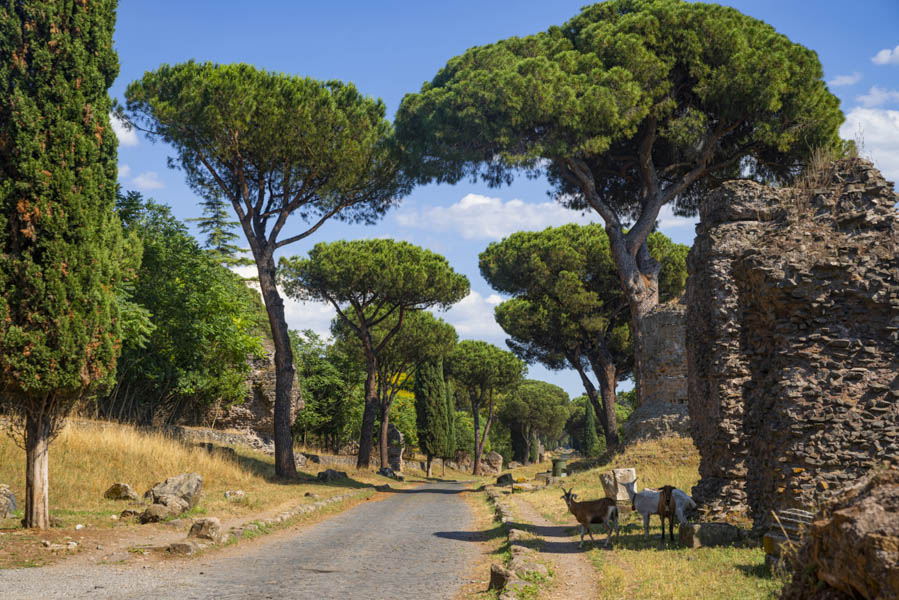 Appian Way near Rome Appian Way near Rome, Italy