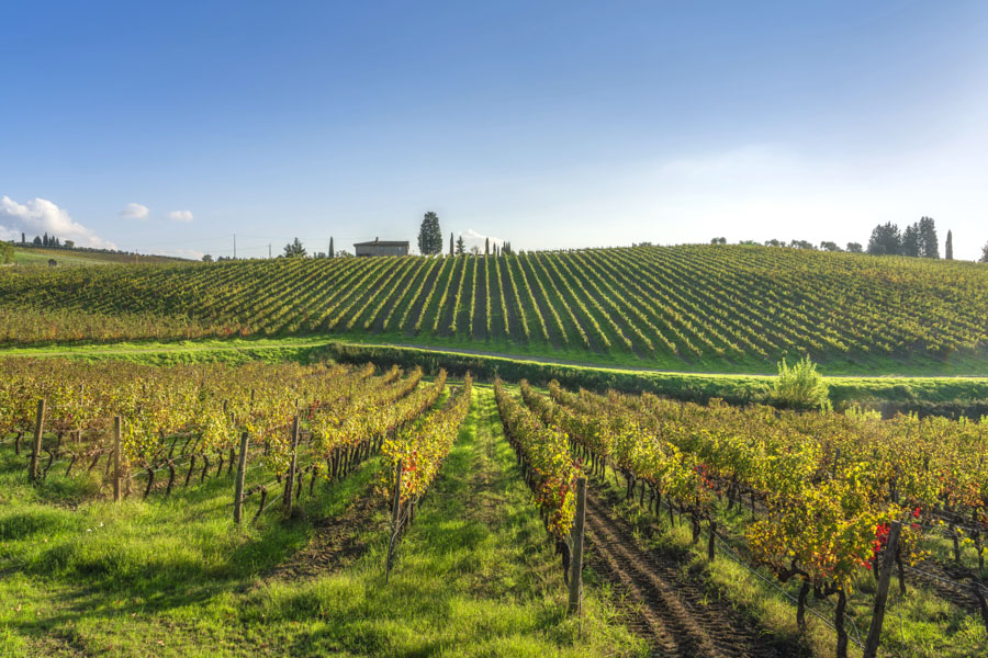 Chianti, Tuscany Chianti, Tuscany, Italy