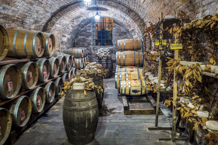 Wine Cellar, Montepulciano Wine Cellar, Montepulciano