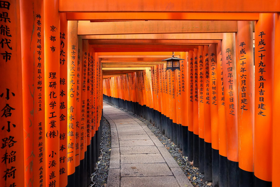 Torii Path at Fushimi Inari Taisha Shrine, Kyoto