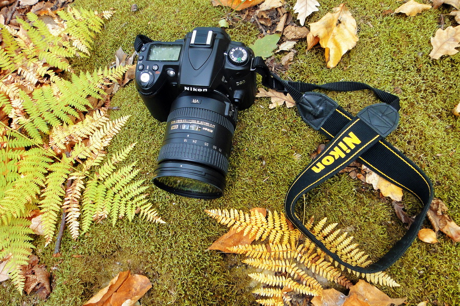 Nikon Camera