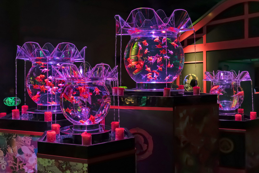 Art Aquarium Museum, Tokyo